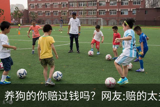 养狗的你赔过钱吗？网友:赔的太多了，它的身价蹭蹭往上涨