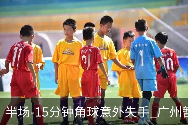 半场-15分钟角球意外失手 广州暂0-1落后大阪樱花