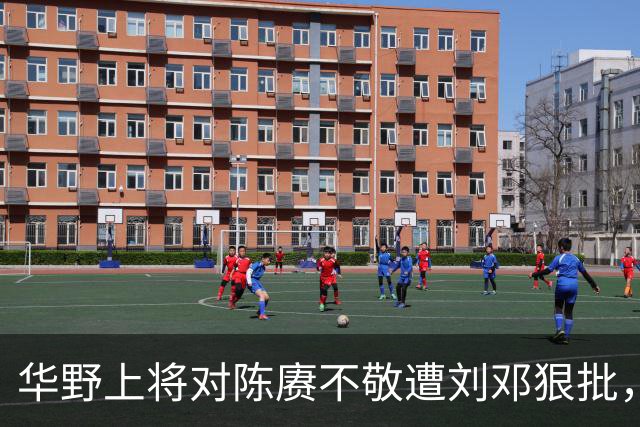 华野上将对陈赓不敬遭刘邓狠批，称性格傲慢，陈毅无奈端起老总架子！