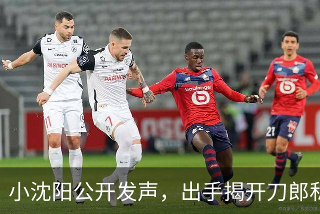 小沈阳公开发声，出手揭开刀郎私下人品，其实他和那英是一类人