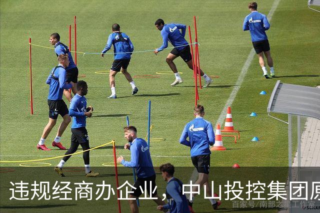 违规经商办企业，中山投控集团原高级顾问罗锐鸿被双开