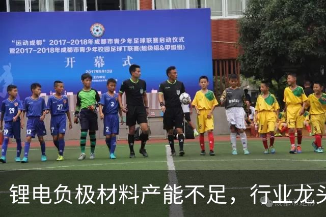 锂电负极材料产能不足，行业龙头杉杉股份拟定增募资不超40亿元加码产能等，海螺集团将全额认购